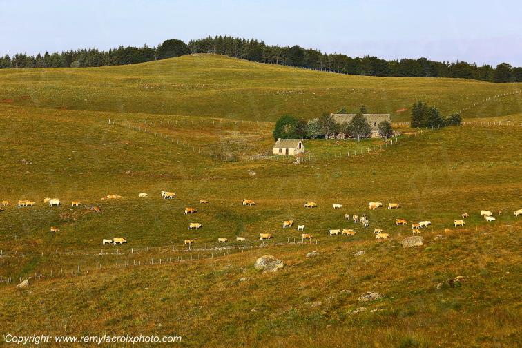 Col de la Matte Aubrac Cantal Auvergne Rh�ne-Alpes France www.remylacroixphoto.com