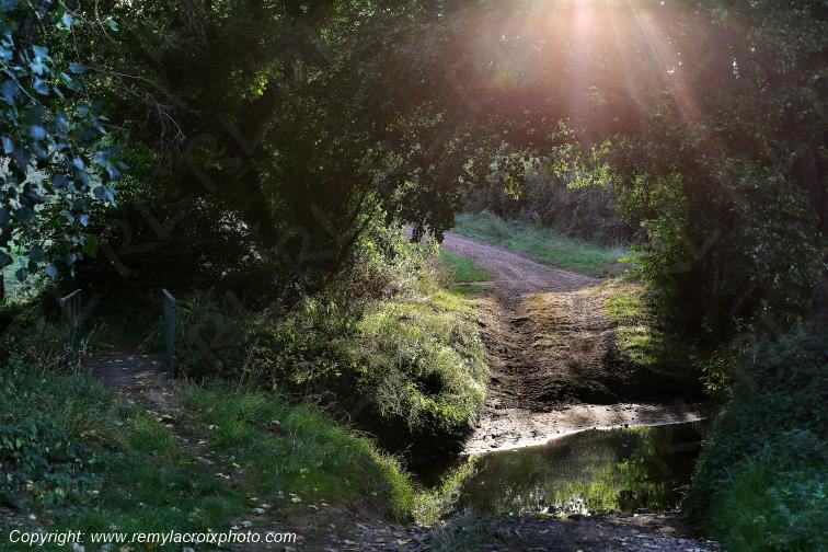 Tranzault Le Chassin Le Gourdon Indre Berry Centre Val de Loire France www.remylacroixphoto.com