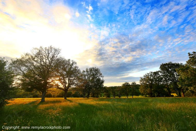Tranzault Le Chassin Indre Berry Centre Val de Loire France www.remylacroixphoto.com