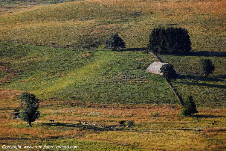 Col de la Matte Aubrac Cantal Auvergne Rh�ne-Alpes France www.remylacroixphoto.com