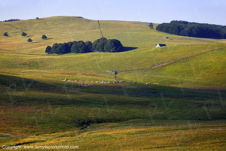 Col de la Matte Aubrac Cantal Auvergne Rh�ne-Alpes France www.remylacroixphoto.com
