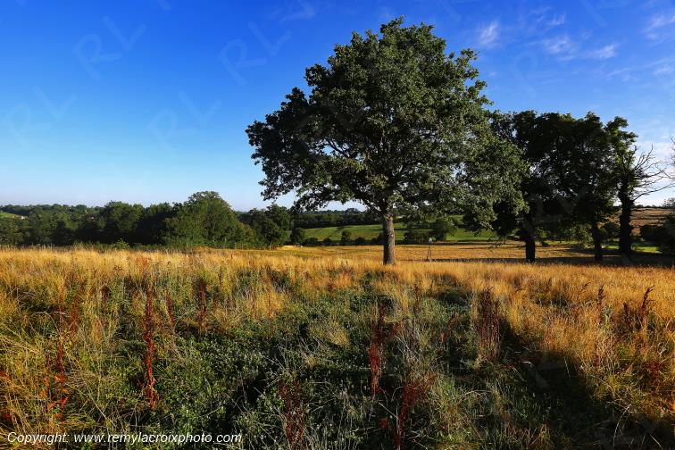 Tranzault Le Chassin Indre Berry Centre Val de Loire France www.remylacroixphoto.com
