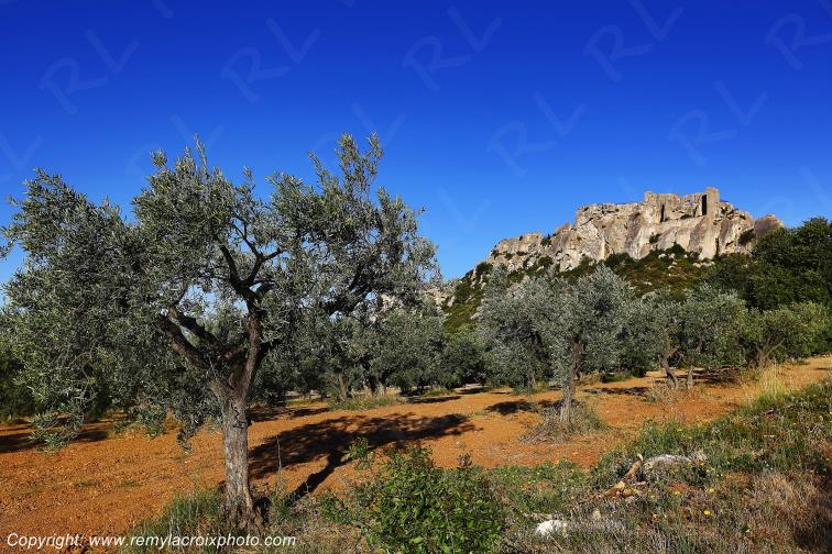 Les Baux de Provence Bouches du Rh�ne Provence Alpes C�te d'Azur France www.remylacroixphoto.com