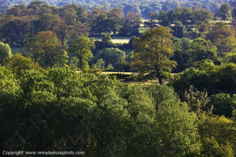 Tranzault Le Chassin Indre Berry Centre Val de Loire France www.remylacroixphoto.com