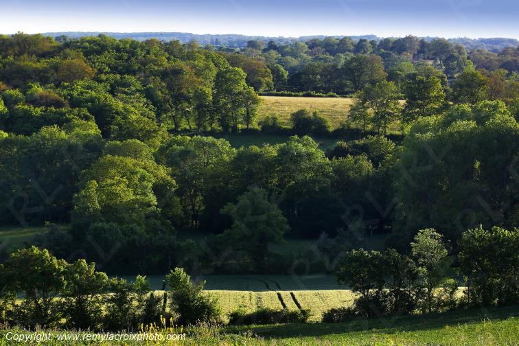 Tranzault Le Chassin Indre Berry Centre Val de Loire France www.remylacroixphoto.com
