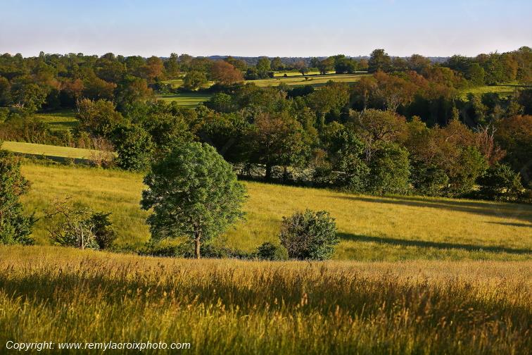 Tranzault Le Chassin Indre Berry Centre Val de Loire France www.remylacroixphoto.com