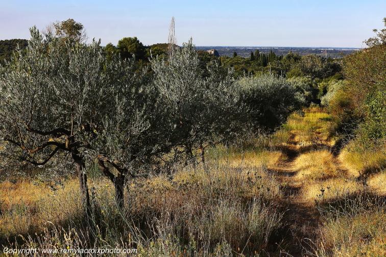 Les Baux de Provence Bouches du Rh�ne Provence Alpes C�te d'Azur France www.remylacroixphoto.com
