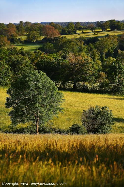 Tranzault Le Chassin Indre Berry Centre Val de Loire France www.remylacroixphoto.com