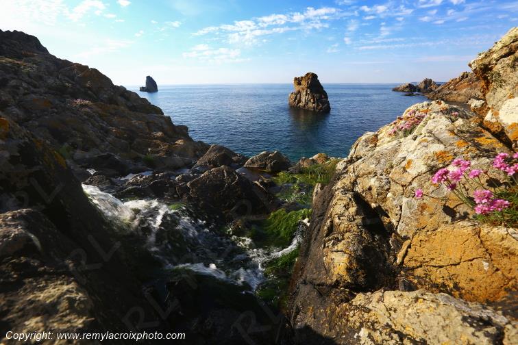 R�serve Naturelle du Cap Sizun Finist�re Bretagne France www.remylacroixphoto.com