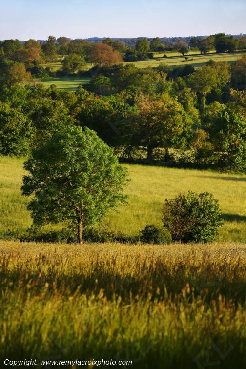 Tranzault Le Chassin Indre Berry Centre Val de Loire France www.remylacroixphoto.com