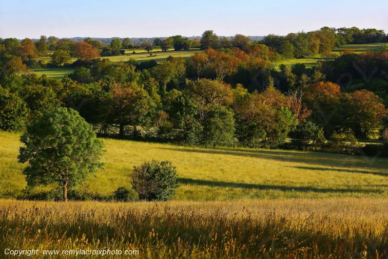 Tranzault Le Chassin Indre Berry Centre Val de Loire France www.remylacroixphoto.com