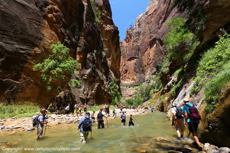 Riverside Walk Zion National Park Utah USA