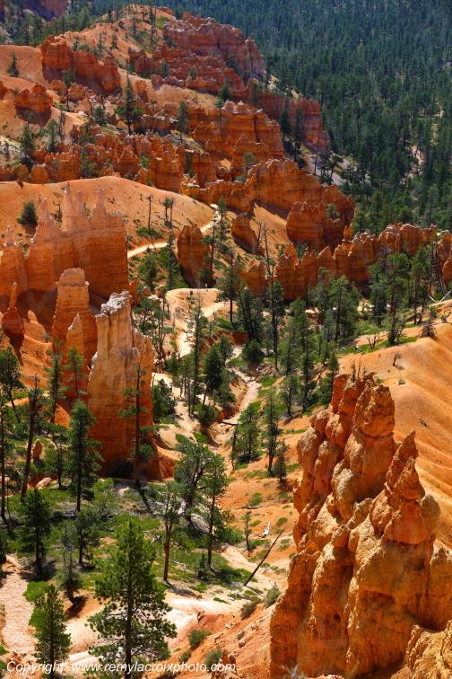 Sunrise Point Bryce Canyon National Park Utah USA