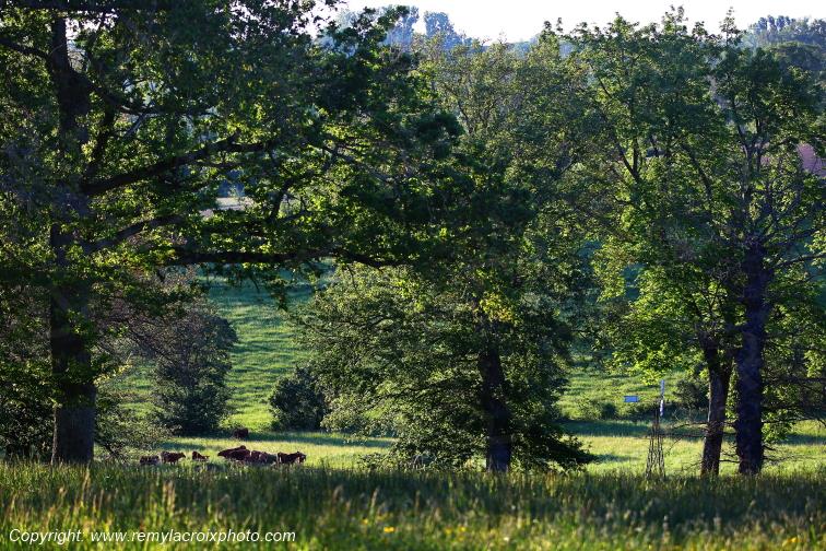Tranzault Le Chassin Indre Berry Centre Val de Loire France www.remylacroixphoto.com