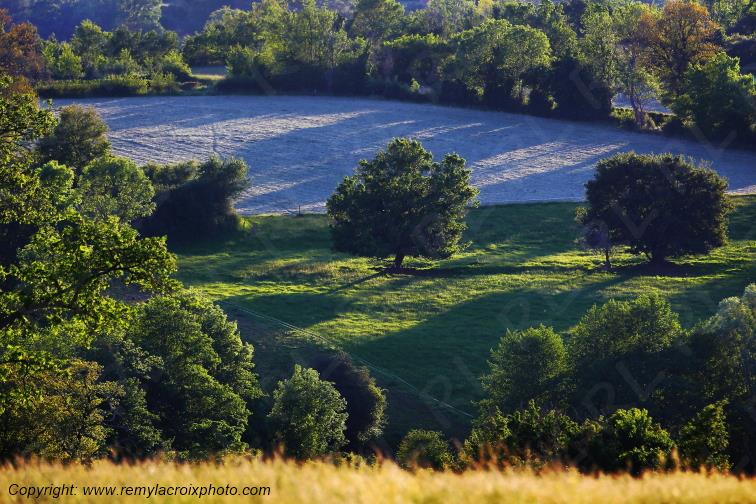 Tranzault Le Chassin Indre Berry Centre Val de Loire France www.remylacroixphoto.com