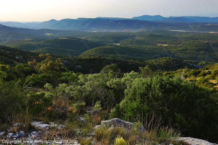 Massif de la Sainte Baume Var Provence Alpes C�te d'Azur PACA France www.remylacroixphoto.com