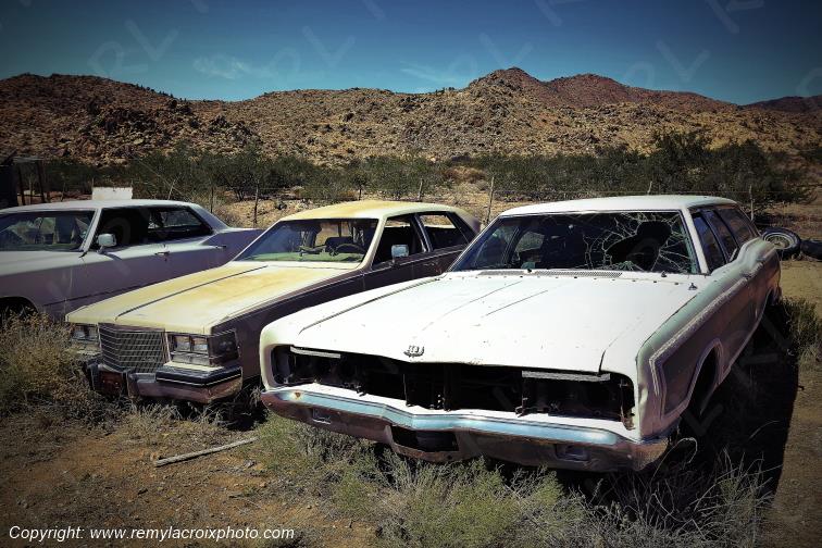 Ford LTD Country Square Wagon 1970 & Cadillac Seville 1980 Route 66 Arizona USA www.remylacroixphoto.com
