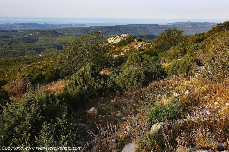 Massif de la Sainte Baume Var Provence Alpes C�te d'Azur PACA France www.remylacroixphoto.com