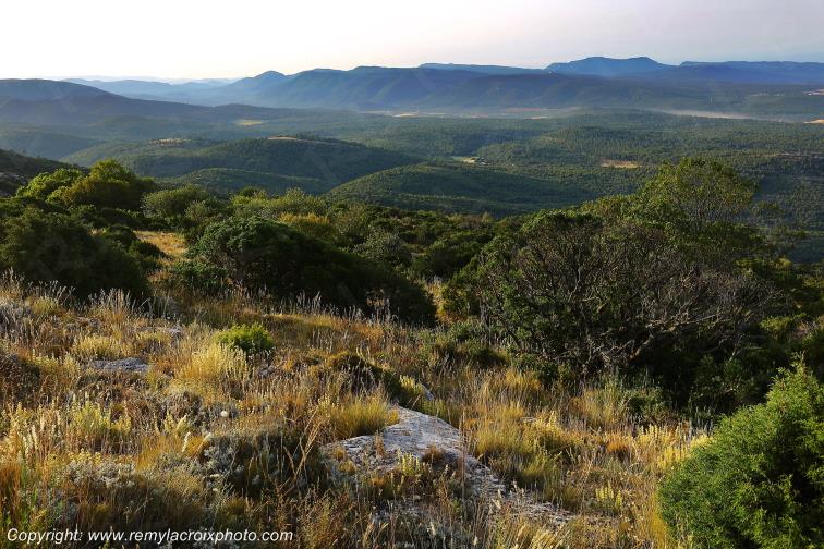 Massif de la Sainte Baume Var Provence Alpes C�te d'Azur PACA France www.remylacroixphoto.com