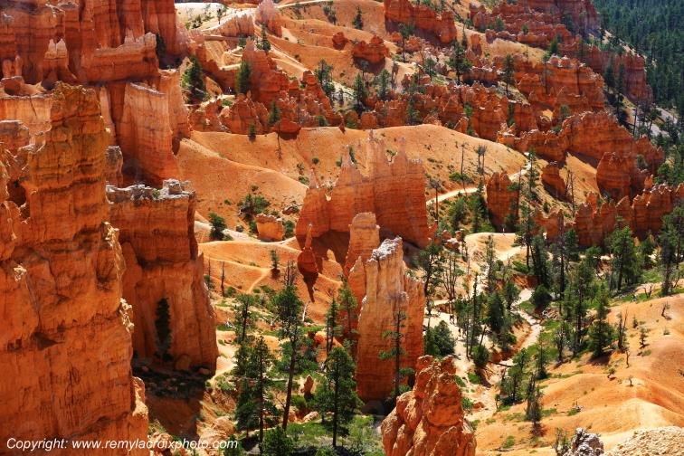 Sunrise Point Bryce Canyon National Park Utah USA