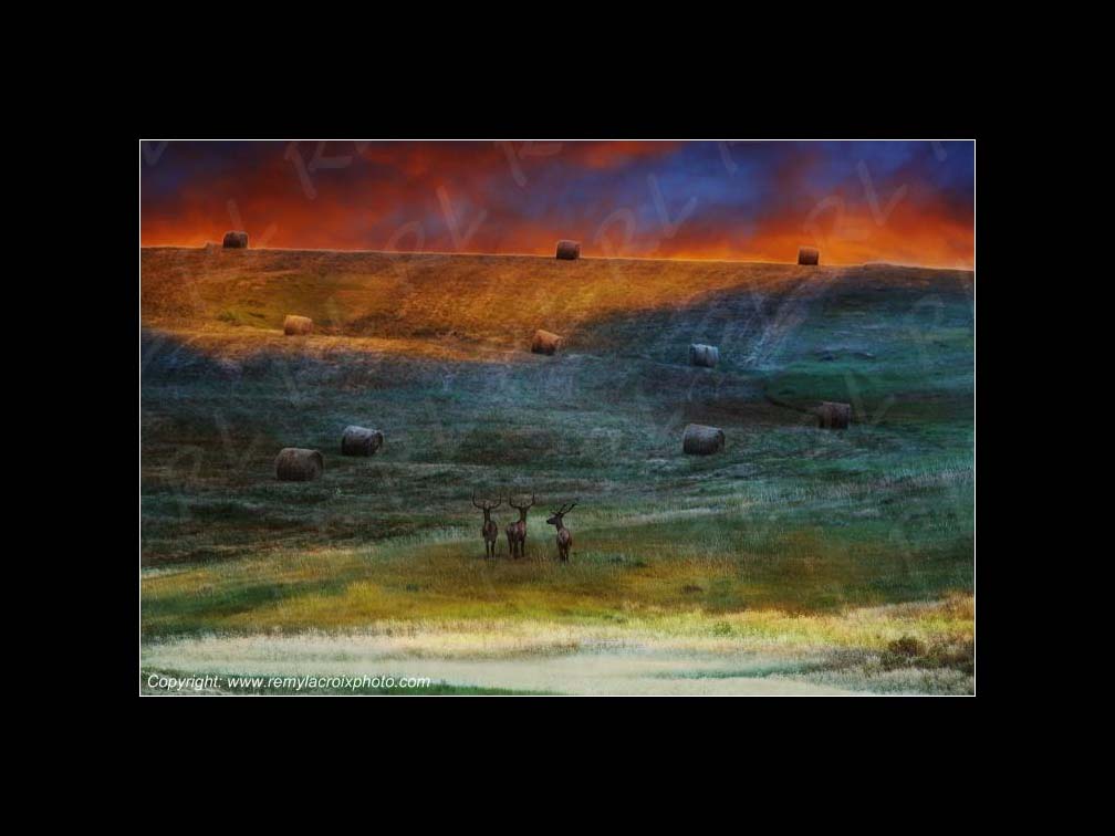 Lewis & Clark Expedition Corps of Discovery 1804-1806 Three Deers Missouri Rim