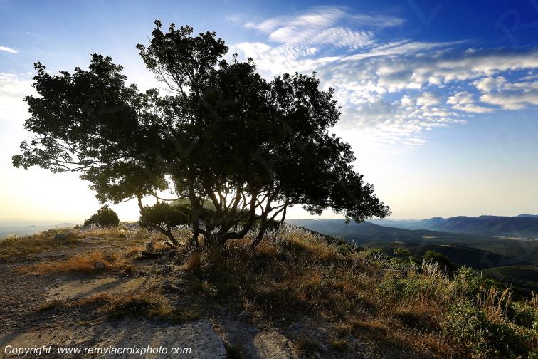 Massif de la Sainte Baume Var Provence Alpes C�te d'Azur PACA France www.remylacroixphoto.com