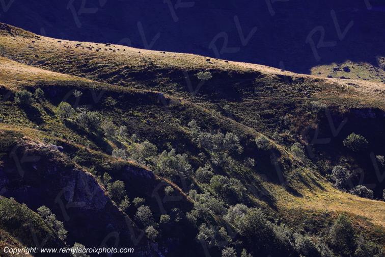 Puy Mary Cantal Auvergne Rh�ne-Alpes France www.remylacroixphoto.com