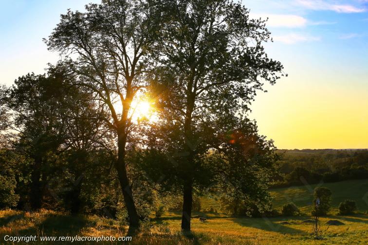 Tranzault Le Chassin Indre Berry Centre Val de Loire France www.remylacroixphoto.com