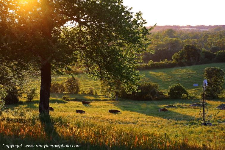 Tranzault Le Chassin Indre Berry Centre Val de Loire France www.remylacroixphoto.com