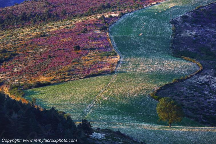 Pompidou Corniche des C�vennes Loz�re Languedoc-Roussillon Occitanie France www.remylacroixphoto.com