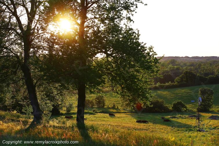 Tranzault Le Chassin Indre Berry Centre Val de Loire France www.remylacroixphoto.com