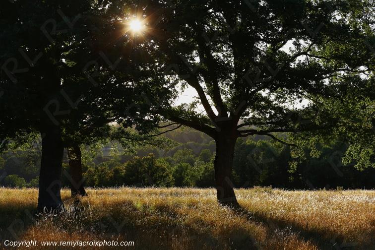 Tranzault Le Chassin Indre Berry Centre Val de Loire France www.remylacroixphoto.com