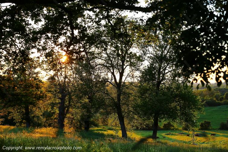Tranzault Le Chassin Indre Berry Centre Val de Loire France www.remylacroixphoto.com
