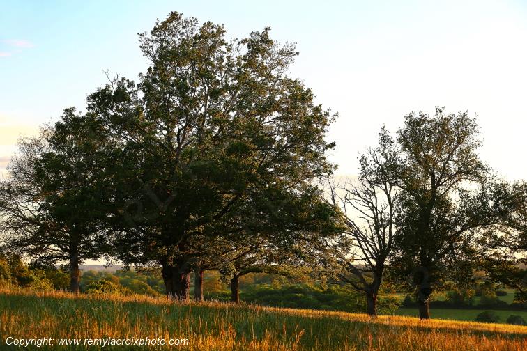 Tranzault Le Chassin Indre Berry Centre Val de Loire France www.remylacroixphoto.com