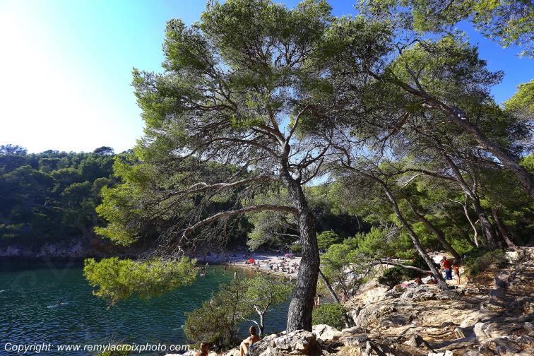 Calanque du port d'Alon Var Provence Alpes C�te d'Azur PACA France www.remylacroixphoto.com