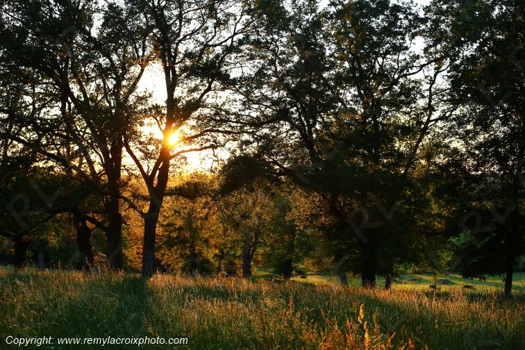 Tranzault Le Chassin Indre Berry Centre Val de Loire France www.remylacroixphoto.com