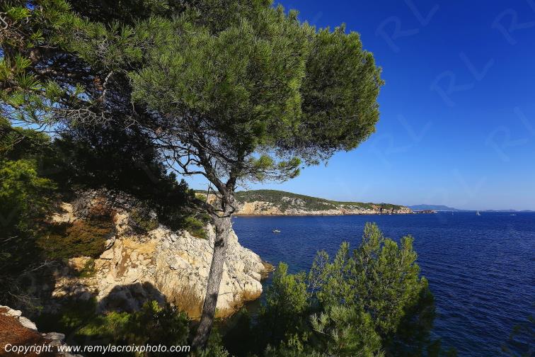 Calanque du port d'Alon Var Provence Alpes C�te d'Azur PACA France www.remylacroixphoto.com