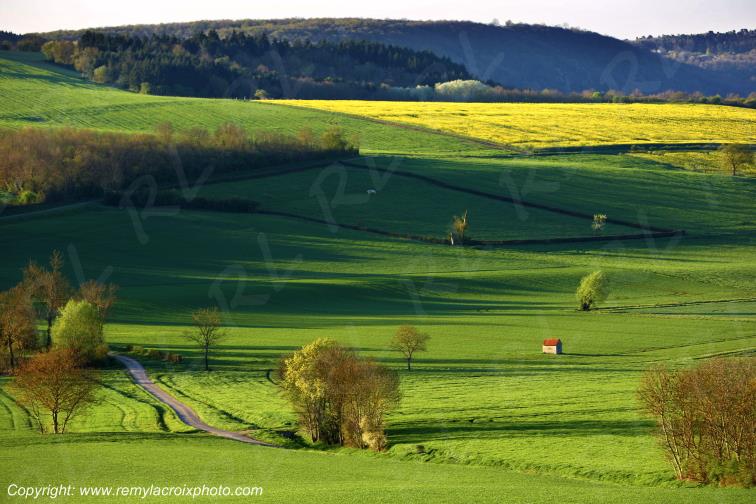 Charroux Val de Sioule Allier Auvergne Rh�ne Alpes France www.remylacroixphoto.com