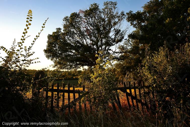 Tranzault Val de Bouzanne Indre Berry Centre Val de Loire France www.remylacroixphoto.com
