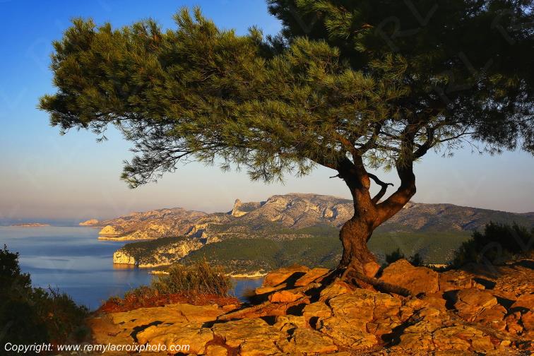 Route des Cr�tes Parc National des Calanques Bouches du Rh�ne Provence Alpes C�te d'Azur France www.remylacroixphoto.com
