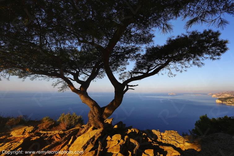 Route des Cr�tes Parc National des Calanques Bouches du Rh�ne Provence Alpes C�te d'Azur France www.remylacroixphoto.com