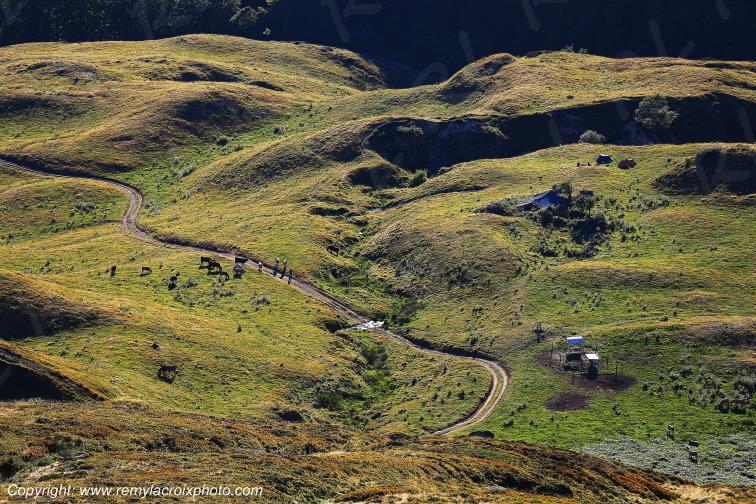Col de Rombi�re Vall�es l'Alagnon la Jordanne Cantal Auvergne Rh�ne-Alpes France www.remylacroixphoto.com