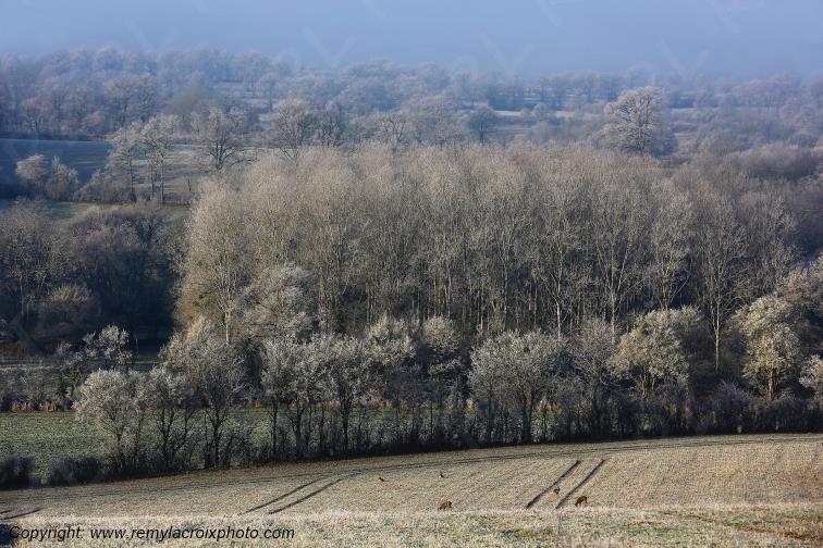 Tranzault Val de Bouzanne Indre Berry Centre Val de Loire France www.remylacroixphoto.com