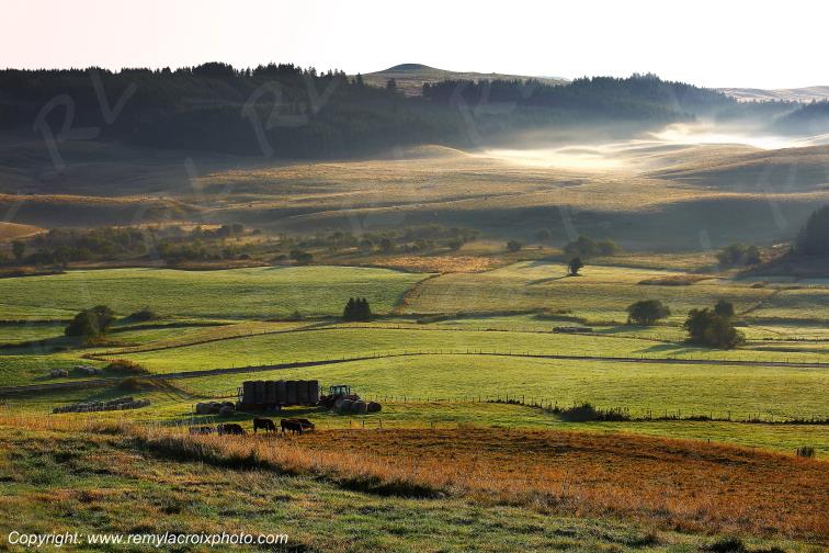 La Godivelle C�zallier Puy de D�me Auvergne Rh�ne-Alpes France www.remylacroixphoto.com