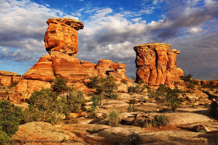 The Needles Canyonlands National Park Utah USA www.remylacroixphoto.com