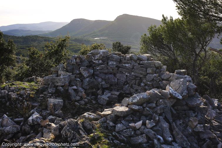 Rocbaron Var Provence Alpes C�te d'Azur PACA France www.remylacroixphoto.com