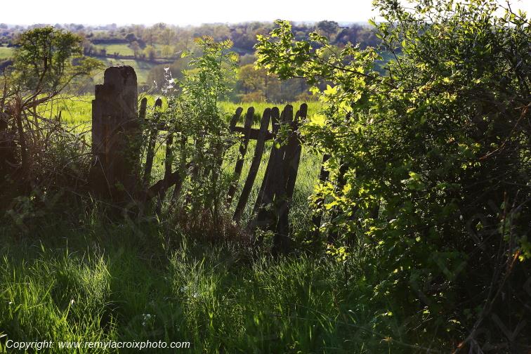 Tranzault Val de Bouzanne Indre Berry Centre Val de Loire France www.remylacroixphoto.com