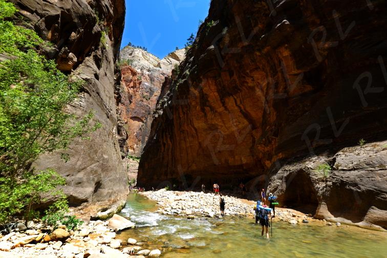 Riverside Walk Zion National Park Utah USA