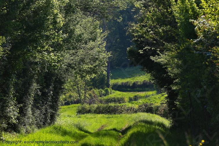 Tranzault Val de Bouzanne Indre Berry Centre Val de Loire France www.remylacroixphoto.com