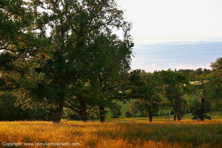 Tranzault Val de Bouzanne Indre Berry Centre Val de Loire France www.remylacroixphoto.com